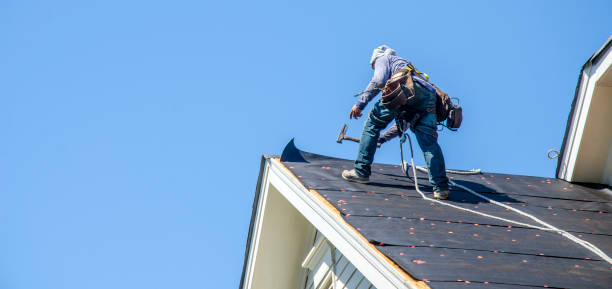 Roof Gutter Cleaning in Slaton, TX